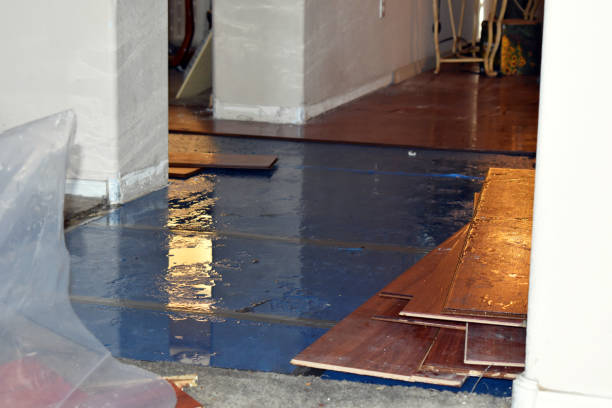 Professional Burst Pipe Cleanup technician working in Calliham, TX
